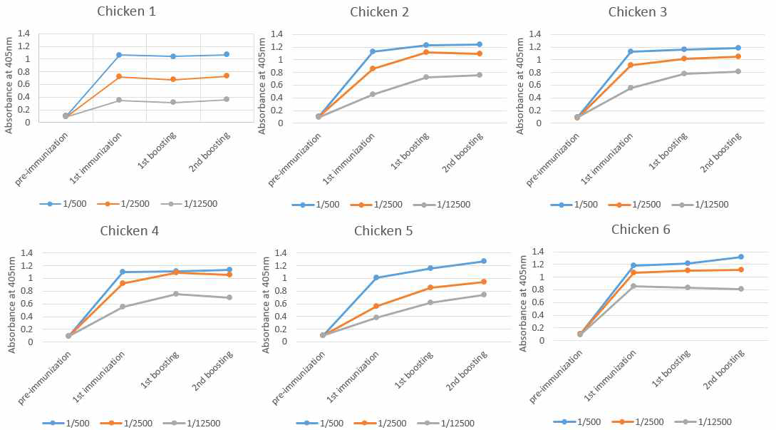 닭 serum 내 spike 당단백질에 대한 항체 titer