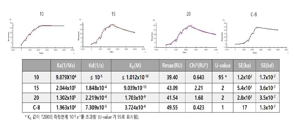 항 MERS-CoV 항체의 결합력 측정