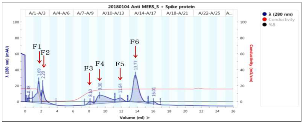 항원/항체 결합체에 대한 gel filtration 분석 결과