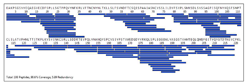 6반복 분석 중 4번 반복적으로 분석되어진 peptides의 coverage map