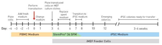 sendai virus를 이용하여 reprogramming procedure