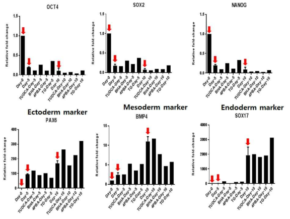 hiPSC-CMC3 분화 중에 변화되는 전분화능 마커와 3배엽 마커 확인. (qRT-PCR)