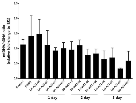 TK2 inhibitor에 대한 mtDNA 발현량 확인