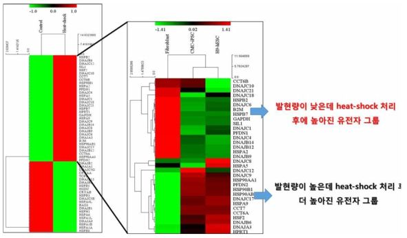 기존 데이터베이스와 mRNA profiling-PCR array 결과를 비교하여 열스트레스에 의해 극적으로 변화되는 유전자 발굴