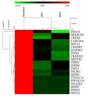 mRNA seq 데이터 기반하여 4배 이상 차이나는 UPR/chaperone 유전자를 heat map으로 작성