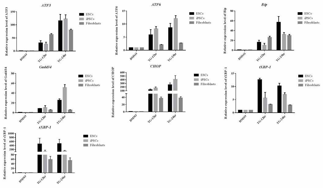 배아줄기세포, 유도만능줄기세포, 섬유아세포에 대한 소포체 스트레스 관련 유전자 중합효소 연쇄 반응 결과. 소포체 스트레스를 유도하는 TG 10nM 처리하였을 때 전분화능 줄기세포에서는 섬유아세포에 비하여 시간의 흐름에 따라 스트레스 관련 유전자들의 발현 상승폭이 컸음