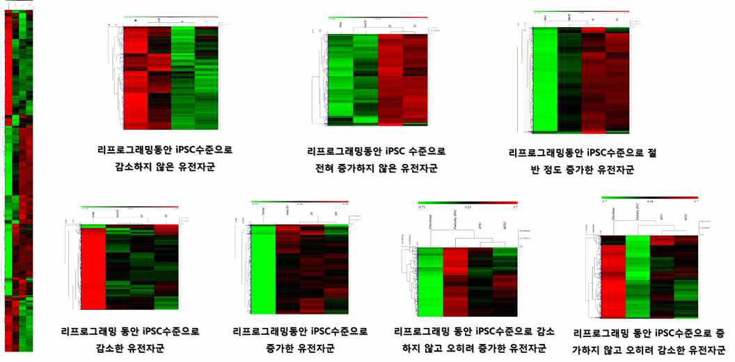 역분화 초기 단계 세포 및 비교군에 대한 heat map 및 그룹화