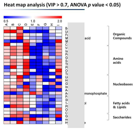 역분화 단계 별 차이나는 대사체에 대한 Heat map 분석 결과