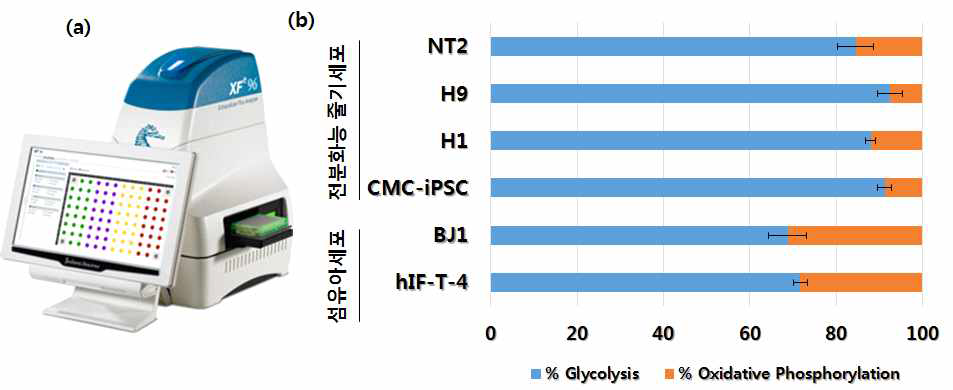 (a) 산소 소모율 측정 기기 (Sea horse FX24), (b) 각 세포 별 glycolysis와 oxidative phosphorylation 측정