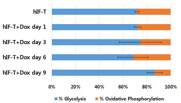 hiF-T세포에 Dox를 처리하여 역분화를 유도 시킨 후 각 역분화 시기 별 glycolysis와 oxidative phosphorylation 측정