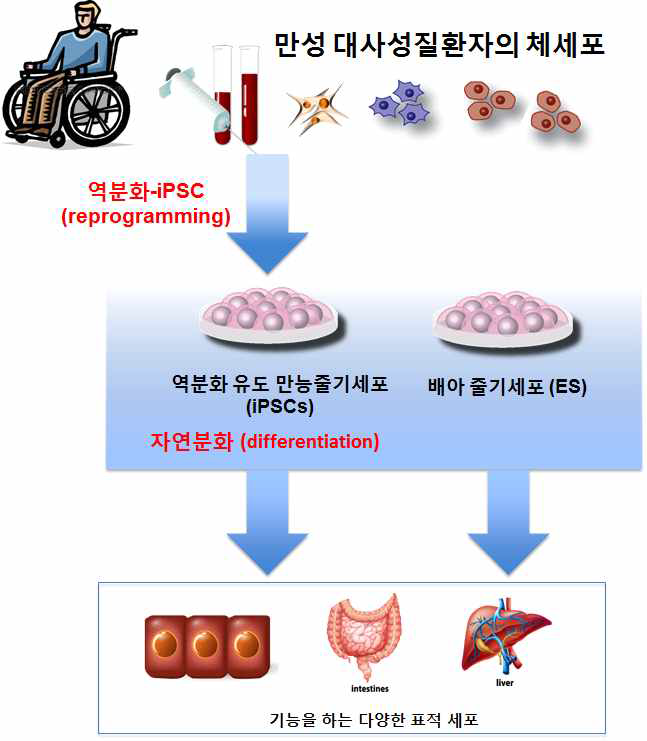 본 연구과제에서 사용될 세포전환 기술의 범위