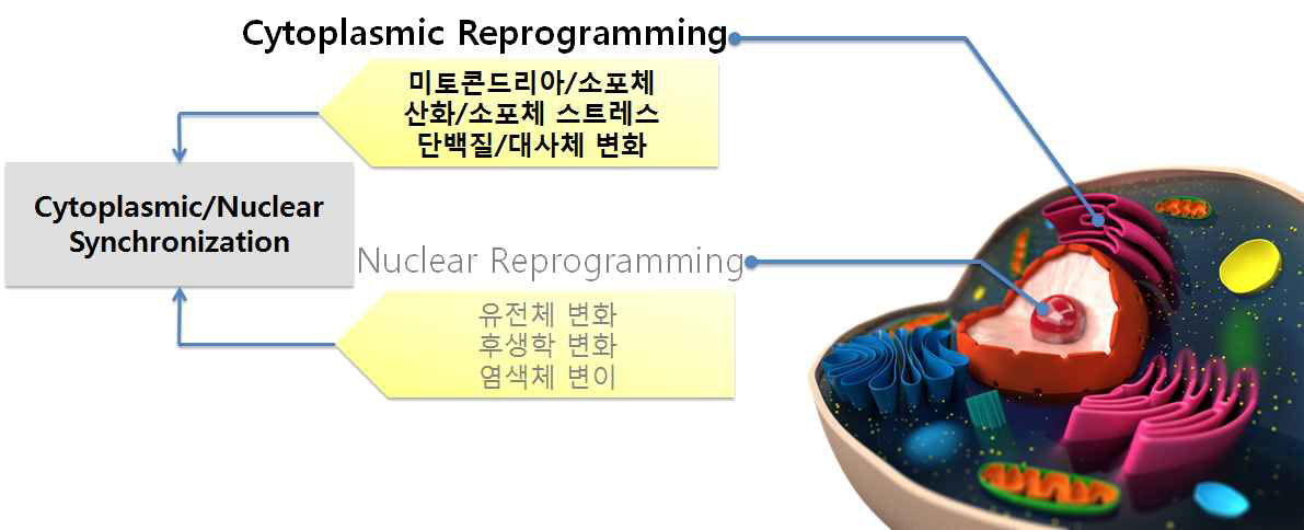 본 연구과제에서 사용될 세포전환 기술의 범위 및 정의