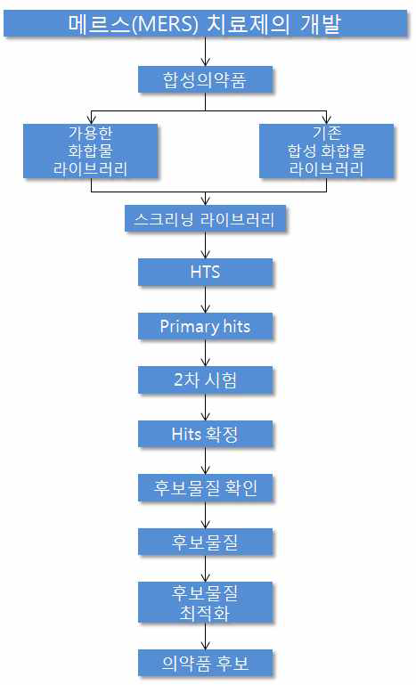 MERS-CoV 감염질환 치료제 개발을 위한 합성의약품 개발 단계