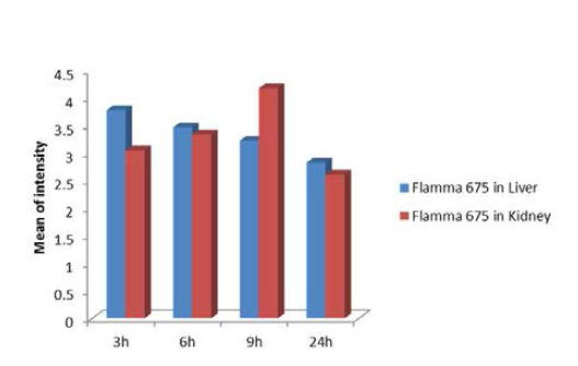 Mean of intensity of Flamma 675