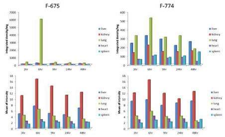 Mean intensity and integrated density/mg of the nanoparticle ex-vivo Group 1 (3hr interval