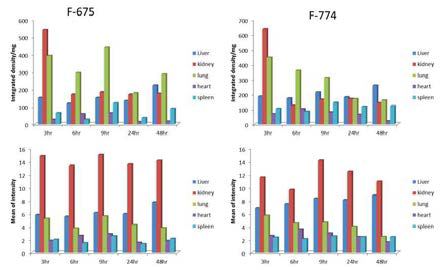 Mean intensity and integrated density/mg of the nanoparticle ex-vivo Group 1 (6hr interval)