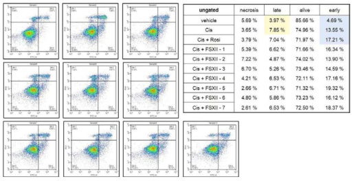 창이자의 항암 효능 및 기전을 검증하기 위해, 유방암 세포주 모델에 Cisplatin과 병용처리를 하고, 유세포 분석기를 통해 세포 사멸을 측정함. FSX2-5, FSX2-7 처리에 의해 항암제의 효과가 증진됨을 확임