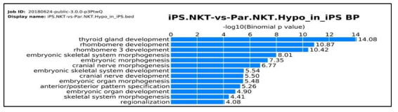 iPS NKT에서 hypo methylated regions의 functional analysis (논문 준비 중)