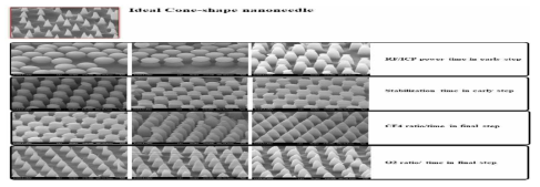 cone-shape nanoneedle image 및 최종 컨디션 작업 이미지 (논문 준비 중)