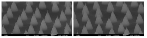 cone-shape polymer nanoneedle 전자현미경 이미지 (논문 준비 중)