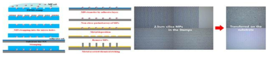 Micro contact printing (Micro-CP) 기술을 이용한 파티클 간격 조절 기술 모식도 및 현미경 이미지 (논문 준비 중)
