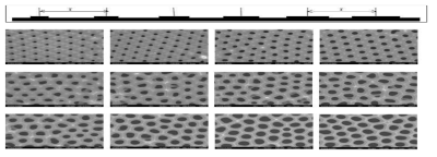 크기구배를 지닌 AAO 표면의 전자현미경 이미지 (논문 준비 중)