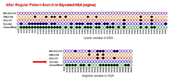 질량분석 소프트웨어를 통해 확인한 Glycated HSA (시그마사 제품)의 당화 위치 및 구조