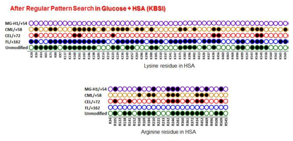 질량분석 소프트웨어를 통해 확인한 in-vitro glycated HSA의 당화 위치 및 구조