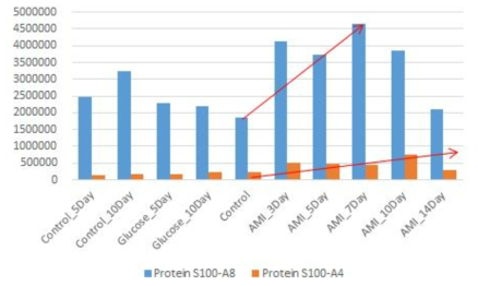 S100-A8과 A4 단백질의 급성심근경색 후 증가
