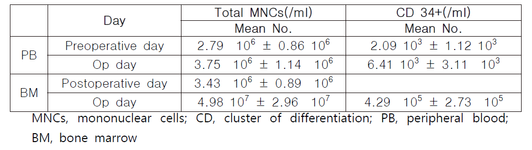 Average number of total mononuclear cells (MNCs) and CD 34+ cells