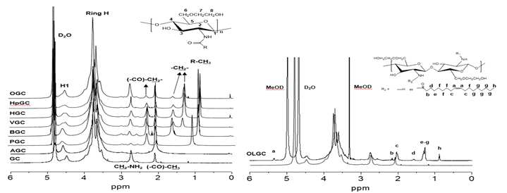 GC, AGC, PGC, BGC, VGC, HGC, HpGC, OGC, OLGC의 1H-NMR 스펙트럼