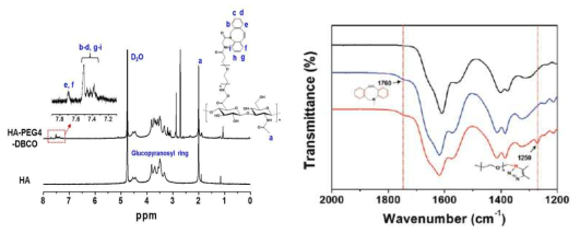 HA, HA-PEG4-DBCO의 화학적 조성확인을 위한 H-NMR 분과기 분석 및 하이드로젤의 FT-IR 스펙트럼. HA의 N-아세틸 글루코사민 수소에 해당하는 피크는 2.0 ppm에서 관찰되었고, 3.0과 4.0 ppm에서 글루코피라노실기의 수소에 해당하는 피크가 관찰되었음. DBCO-PEG4-amine이 결합된 HA-PEG4_DBCO 에서는 디벤조시클로옥탄의 수소에 해당하는 피크가 7.3과 7.8 ppm에서 추가적으로 나타나는 것을 확인함. FT-IR 분석에서는 O-H의 신축 진동을 나타내는 파장 3290cm-1과 C-H의 신축 진동에 해당하는 파장 2890cm-1 모두 확인하였고, 1032cm-1에서는 C-O-C의 신축 진동을 나타내는 파장이 나타났음. HA-PEG4-DBCO 스펙트럼에서는 방향족 고리의 탄소-탄소 이중결합에 의한 파장이 1750cm-1에서 확인되었음. 또한 azide로 인한 가교로 C-N 신축진동에 해당하는 파장 1250cm-1이 확인되었음
