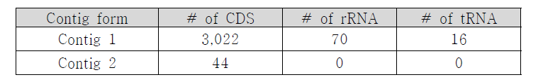 Rast server prediction결과