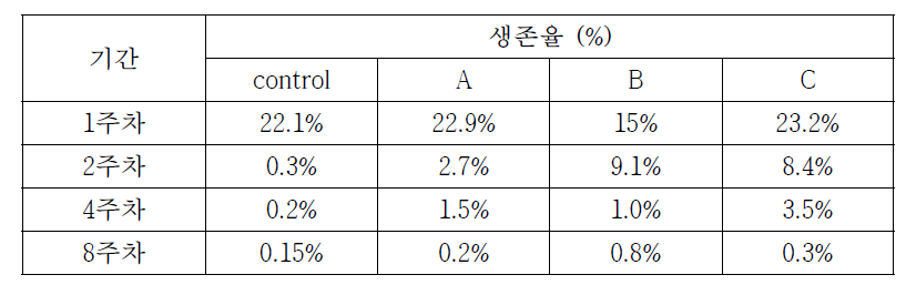 40℃ 가혹조건에서 보관중인 Lb. plantarum HAC01 원말의 안정성