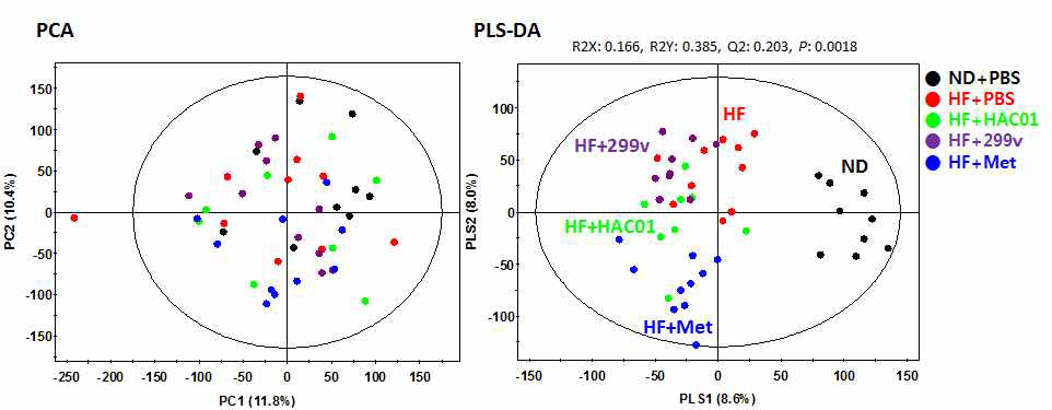 맹장 대사체 프로파일링 다변량 통계분석 결과. ND+PBS: 일반식이 대조군, HF+PBS: 고지방식이 대조군, HF+HAC01: Lactobacillus plantarum HAC01, HF+299v: Lb. plantarum 299v, HF+MET: 약물대조군 Metformin