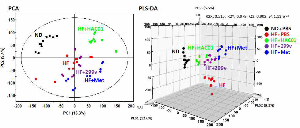 분변 대사체 프로파일링 다변량 통계분석 결과. HF+PBS: 고지방식이 대조군, HF+HAC01: Lactobacillus plantarum HAC01, HF+299v: Lb. plantarum 299v, HF+MET: 약물대조군 Metformin