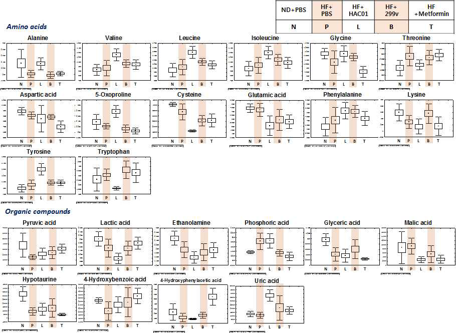 분변 대사체 아미노산 및 유기산 상대적인 함량 비교분석 결과. HF+PBS: 고지방식이 대조군, HF+HAC01: Lactobacillus plantarum HAC01, HF+299v: Lb. plantarum 299v, HF+MET: 약물대조군 Metformin