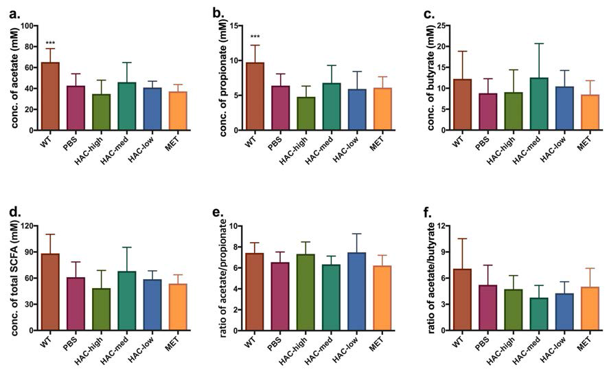 db/db 마우스 맹장 SCFA. WT: wild-type 정상 대조군, PBS: db/db 음성 대조군, HAC-high: Lb. plantarum HAC01 고농도 투여 군주 (1x1010), HAC-med: Lb. plantarum HAC01 고농도 투여 군주 (1x109), HAC-low: Lb. plantarum HAC01 고농도 투여 군주 (1x108), MET: metformin 300mg/kg 약물 대조군, (a) acetate (b) propionate (c.) butyrate (d) total SCFA (e) acetate/propionate ratio. One-way-ANOVA 분석결과 *p<0.05, **p<0.01, ***p<0.001