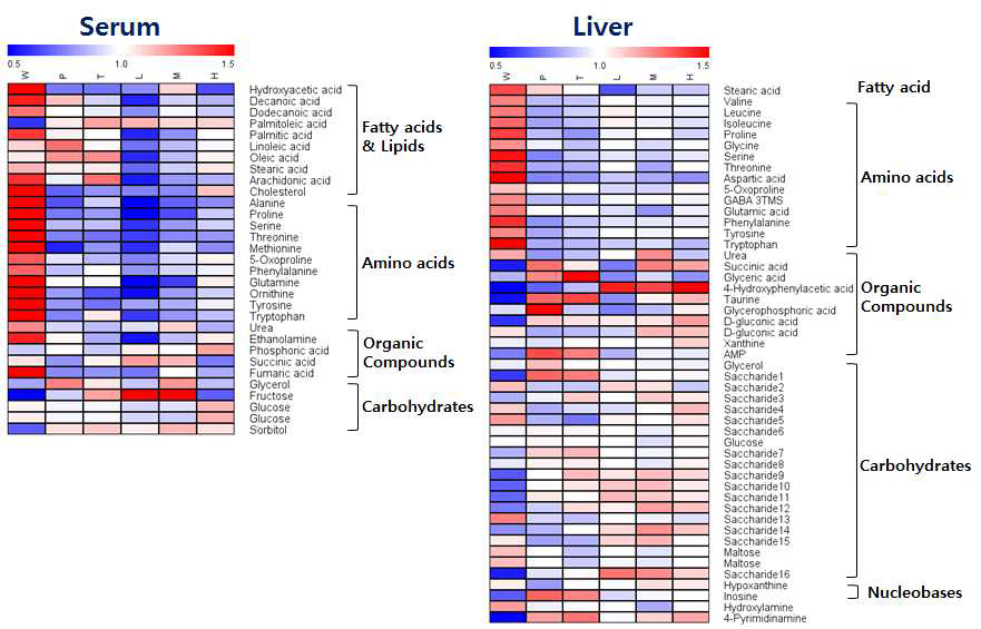 혈장, 간 대사체 상대적인 함량 비교 분석 결과 (Heatmap). WT(W): wild-type 정상 대조군, PBS(P): db/db 음성 대조군, HAC-high(H): Lb. plantarum HAC01 고농도 투여 군주 (1x1010), HAC-med(M): Lb. plantarum HAC01 중간농도 투여 군주 (1x109), HAC-low(L): Lb. plantarum HAC01 저농도 투여 군주 (1x108), MET(T): metformin 300mg/kg 약물 대조군