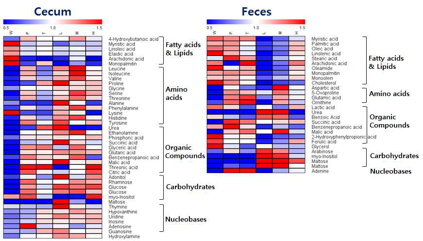 맹장, 분변 대사체 상대적인 함량 비교 분석 결과 (Heatmap). WT(W): wild-type 정상 대조군, PBS(P): db/db 음성 대조군, HAC-high(H): Lb. plantarum HAC01 고농도 투여 군주 (1x1010), HAC-med(M): Lb. plantarum HAC01 중간농도 투여 군주 (1x109), HAC-low(L): Lb. plantarum HAC01 저농도 투여 군주 (1x108), MET(T): metformin 300mg/kg 약물 대조군