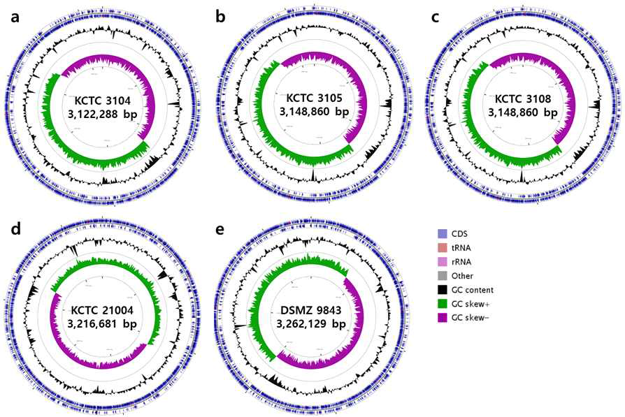 유용 유산균의 chromosome circular map