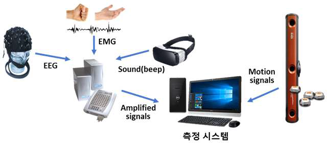 운동 상상 상태 및 전략에 따른 뇌활동 분석을 위한 시스템 구성