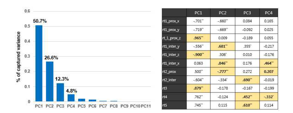 4개의 주성분 (94.6%) 및 이와 각 관절의 상관계수