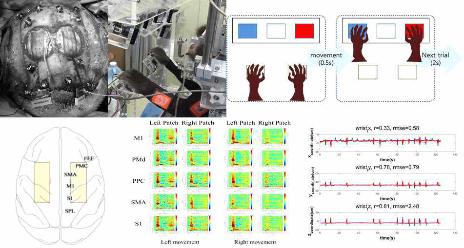 영장류 팔 움직임 BMI 시스템