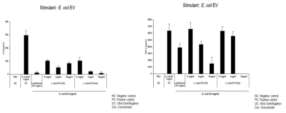 Lactobacillus casei EV pretreatment 효능평가 결과: IL-6(좌), TNF-α(우)