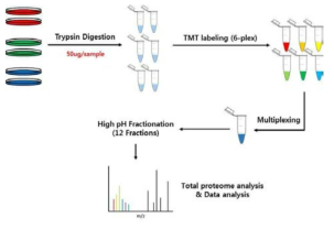 Proteomics 분석 workflow