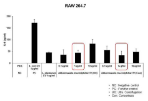 Akkermansia muciniphila EV pre-treatment 효능평가