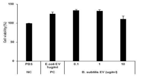 B. subtils EV 세포독성 평가 결과