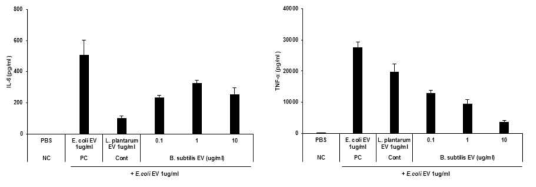 B. subtilis EV pretreatment 효능평가 결과: IL-6 (좌), TNF-α (우)