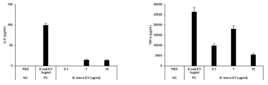 B. breve EV 처리 후, 사이토카인 분비량 측정 결과: IL-6 (좌), TNF-α (우)